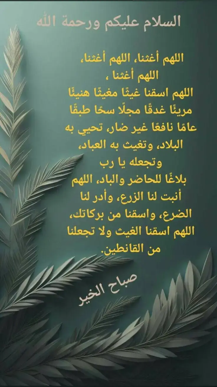 صباح الخير 🌹 