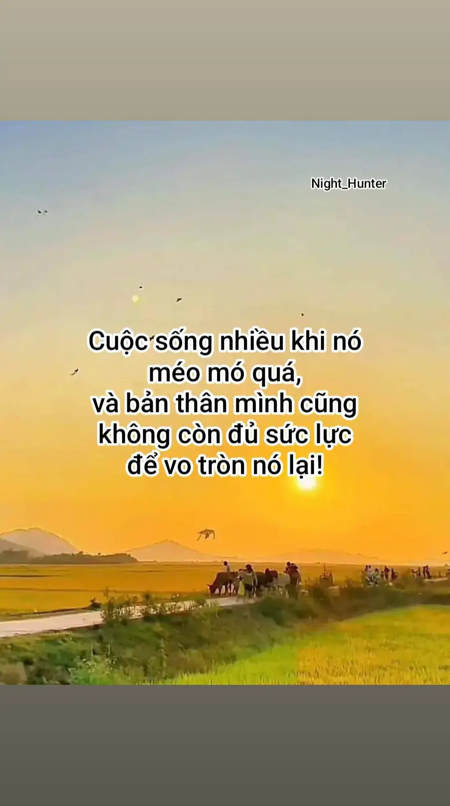 Đừng bao giờ để cuộc đời của bạn bị chi phối bởi lời nói của người khác. Trong tâm bạn có vui vẻ, thì mắt bạn mới nhìn thấy được ánh mặt trời. #Night_Hunter #LearnOnTikTok #tamtrang #xuhuong #caunoihay #viral #tiktok 