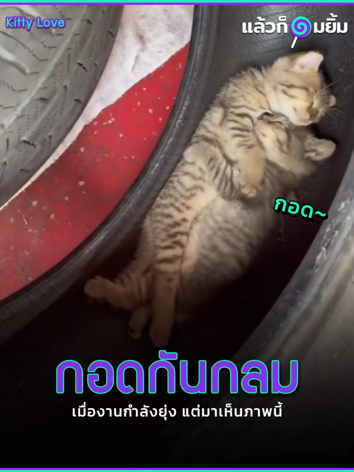 กอดกันกลม😻🥰