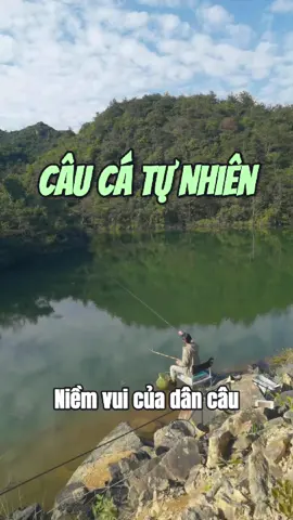 Câu Cá Tự Nhiên #câucatựnhiên #câucagiaitri #FishingLife #fishing #câucá #xuhuong #caucatiktok #cauca #caucagiaitri