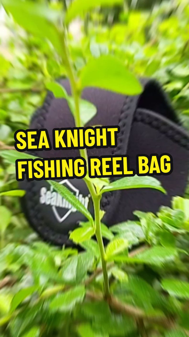 #reelbag #FISHINGREEL #seaknight #BAITCASTINGREEL  #fishing #fishinglife 