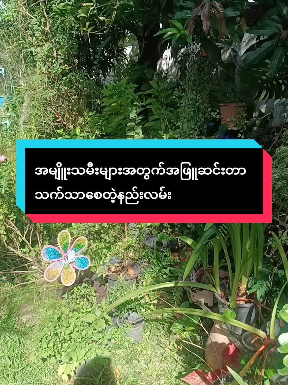 ခဏခဏအဖြူဆင်းနေတဲ့အမျိူူသမီးများအတံက် အလွယ်ကူသက်သာနည်းလမ်းမျှဝေပေးမယ်#todaytrending #မိန်းကလေးများအတွက် #အဖြူဆင်းခြင်း #သက်သာစေတယ် #ပင်စိမ်းရွက် #ဒီနည်းလမ်းလေးနဲ့ #လုပ်ကြည့်ပါ #foryoupage❤️❤️ #thazinkhing #thailand #အမျိူးသမီးတိုင်းအတွက် #ကျန်းမာစေဖို့ #သဘာဝနည်းလေး #မျှဝေခြင်း 