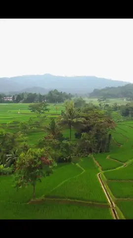 Jum'at barokah 🤲 #drone #dronevideo #drones #droneshot #cinematic #cinematicvideo #cinematicdrone #naturevibes #suasanapagi #nusantara #nature #vibe #mountain #natureza #naturelover #dji #djindonesia #djiboutitiktok🇩🇯🇩🇯 