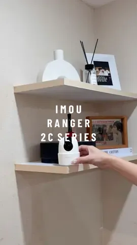 แมวงอกใหม่ ❌ ซื้อของเล่นแมวเพิ่ม ✅ ซื้อกล้องวงจรปิดเพิ่ม #catlover #ทาสแมว #longervideos #Mmynster #fyp #foryou #imou  