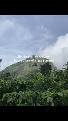#fyp #muncakgunung #tektokgunung #masukberanda #puncak29 