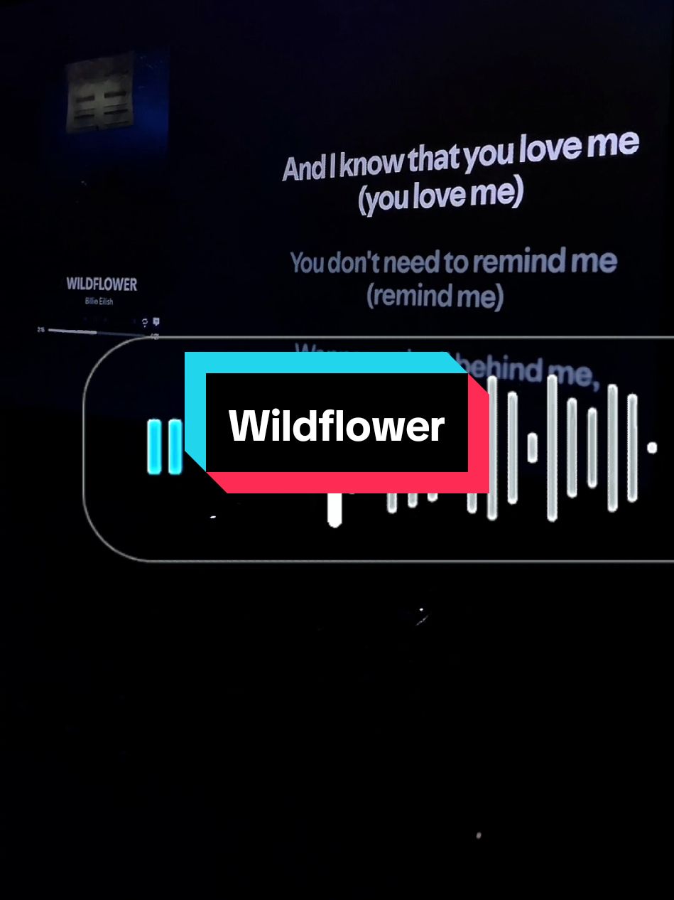 wildflower by billie eillish #wildflower #billieeilish #coversong #singing #lirik #foryoupage #music 