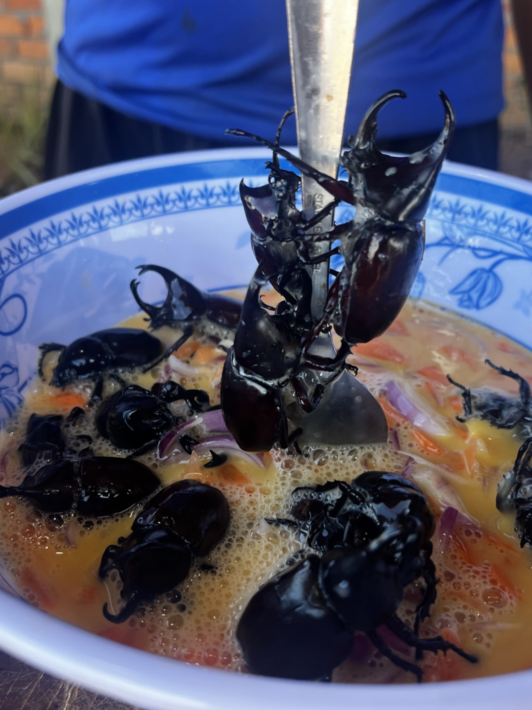 Beetles Cooking Recipe #eat#food#cook
