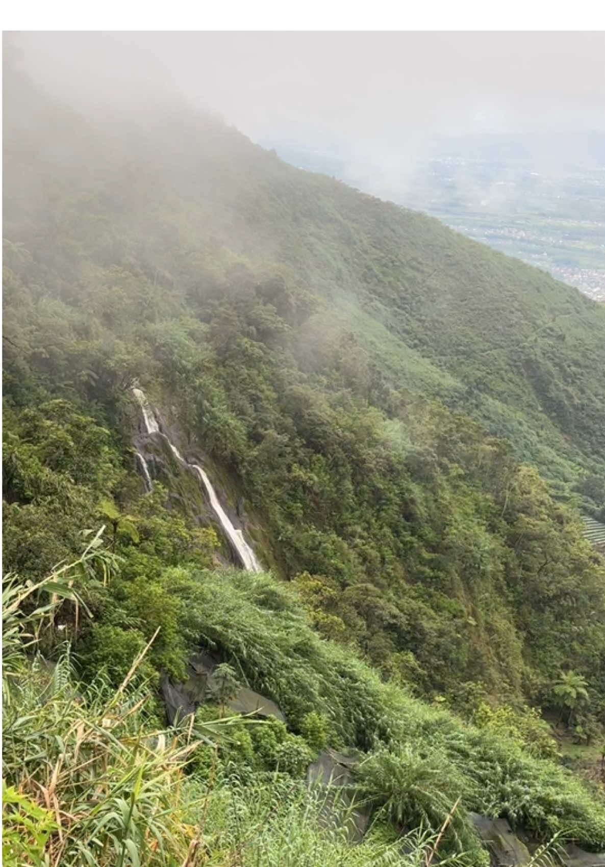 Nduwur mendung Ngisor padang Cakeppp Ngeleh madang🤣 #fyp #fypシ゚viral #swissvanjava #airterjunsikarim #dieng #sikunirvibes #sikunir