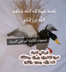 #حسين_ابوعلي♥ #اللهم_صل_على_محمد_وآل_محمد #اكسبلور #شعب_الصيني_ماله_حل😂😂 #صنين_مالهم_حل😂😂 #العراق #ماله_حل_الشعب_الصيني😂😂 
