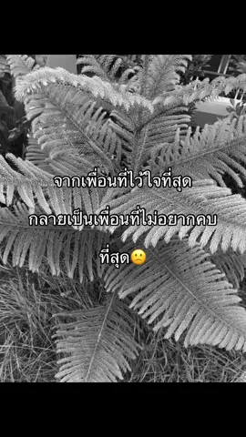 🙁#เธรด 
