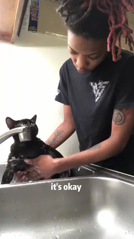 The Bath Battle: When Cats Say No to Water #cat #catsoftiktok #catlover #funny #funnyvideos #foryou #fypage #fypツ #funnycat #funnytiktok #cats 