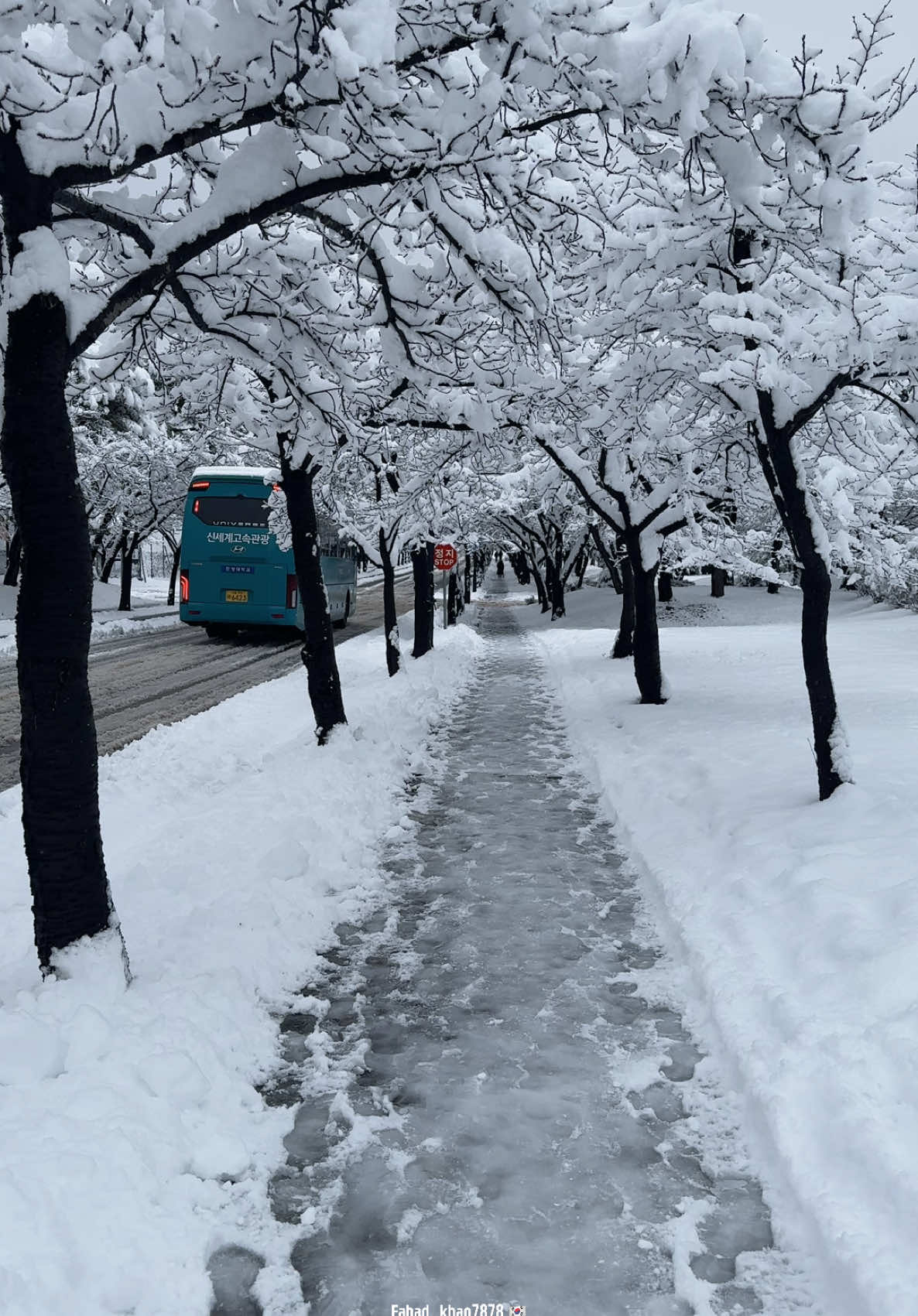 Hanyang University ERICA South Korea 🇰🇷❄️🇰🇷❄️🇰🇷. #korea #hellokorea #snowfall #foryou #2024 #winter #viral 