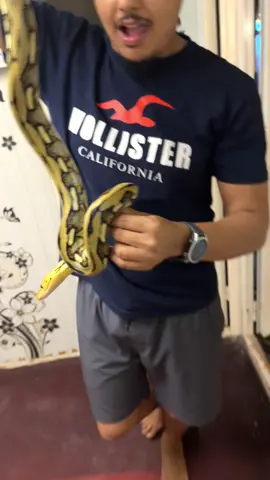 😂😂🐍🐍 #مايد_الانصاري 