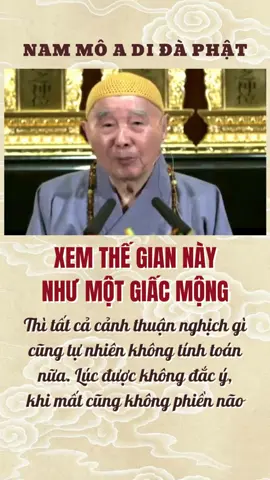 XEM THẾ GIAN NÀY NHƯ MỘT GIẤC MỘNG  #httinhkhong #hoathuongtinhkhong #phapsutinhkhong #tinhkhongphapsu #tinhkhongphapngu #pstinhkhong #nammoadidaphat #adidaphat #phatphapnhiemmau