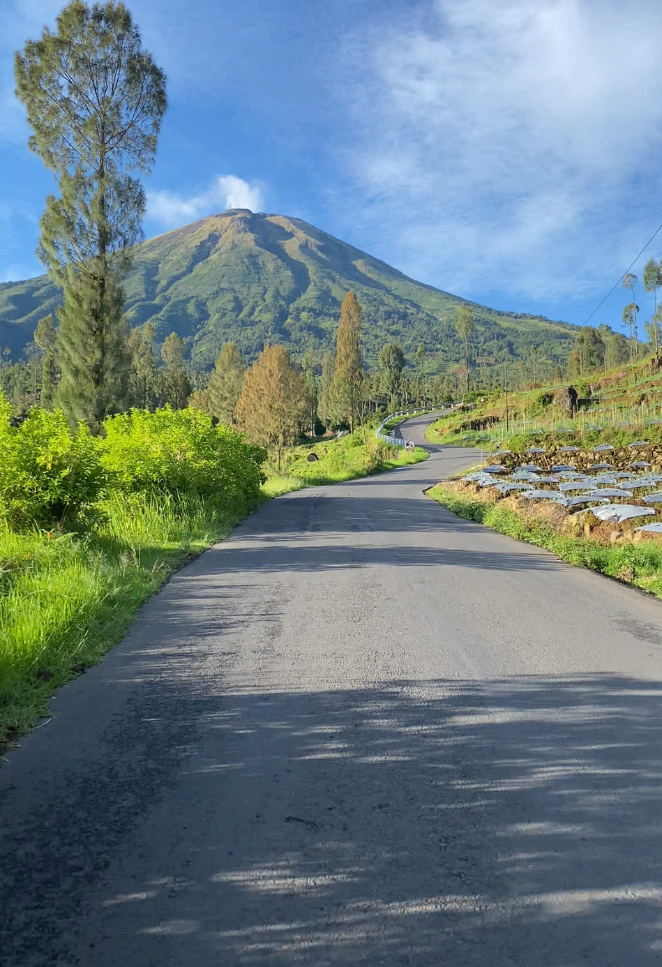 healing dengan pemandangan indah di temanggung  . . . #aestheticvibes #metoosmile #fyp @Pesona Indonesia @Wonderful Indonesia @malieqmaul13 