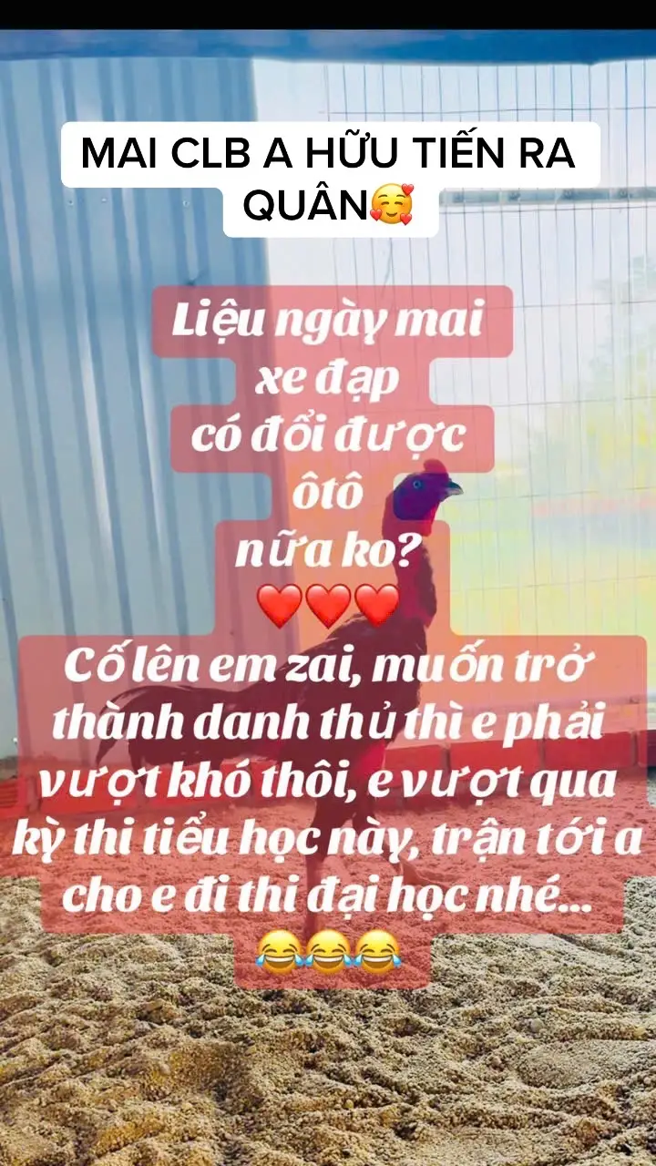 #xuhuong #yêuđộngvật #🏆🏆🧄🧄 @Hà Thạch 