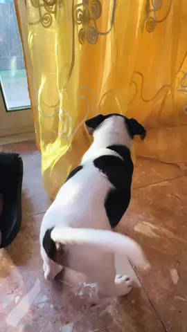 🤣❤️