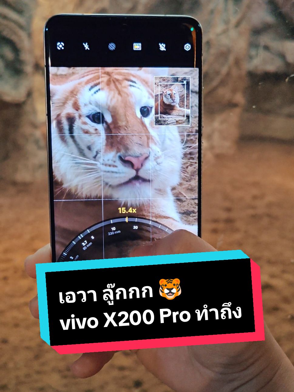 #เอวา ลู๊กกก 🐯 vivo X200 Pro ทำถึง ทำเกิน 39,999 🔥 #เอวา #เสือเอวา #vivoX200Pro #vivoX200 #X200Pro #ZEISS #ถ่ายรูป #mobilephotography #vivoxzeiss #vivothailand #เชียงใหม่ไนท์ซาฟารี #สวนสัตว์tiktok #สวนสัตว์ 