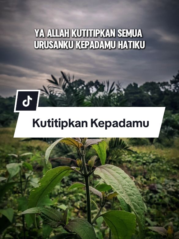 Kutitipkan semua urusanku kepadamu #CapCut #doa #statusharian #fyp #status #viral #katakata #fypシ゚ #motivation #motivasihidup #quotes #trend #trending #motivasidiri #motivasikehidupan #motivasi 