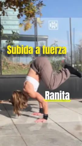 Tenéis un regalo en mi cuenta de insta( @mtrianafit) , solo tenéis que ir a este mismo video y leer oa descripción o quedaros hasta el final del vídeo. Sígueme para más contenido!🥰🙌 #calistenia #calisthenics #calisthenicsworkout #handstand #frogstand #paradademanos #tutorialpino #subidaafuerza #frogstandtohandstand #rutinaejercicios #entrenamiento #fuerza 