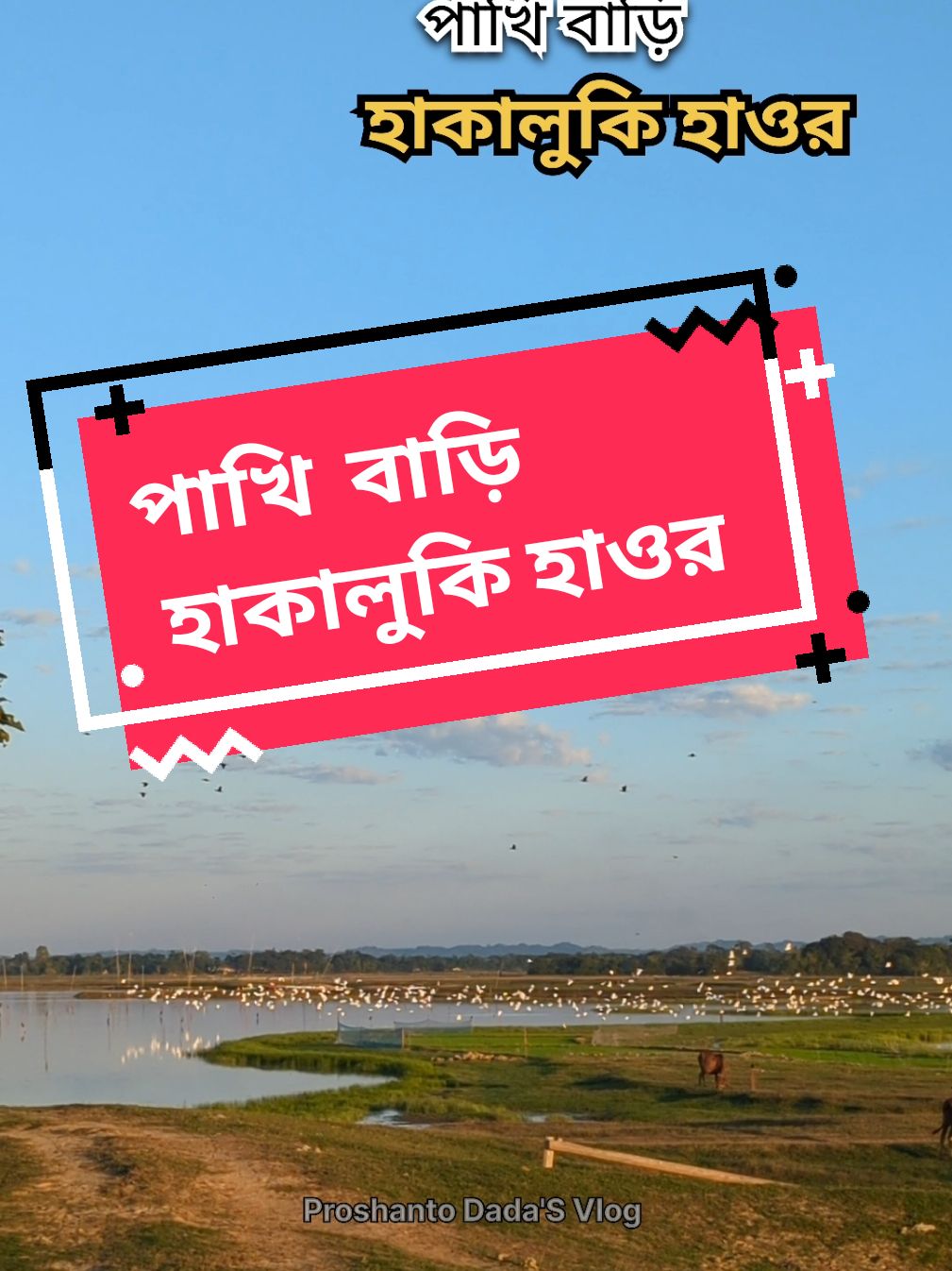 পাখি বাড়ি 🕊️🐦🦅  হাকালুকি হাওর 🦢  #proshantodadasvlog #hakaluli #hakalukihaor #hakaluki #পাখিবাড়ি #পাখি #পাখির 