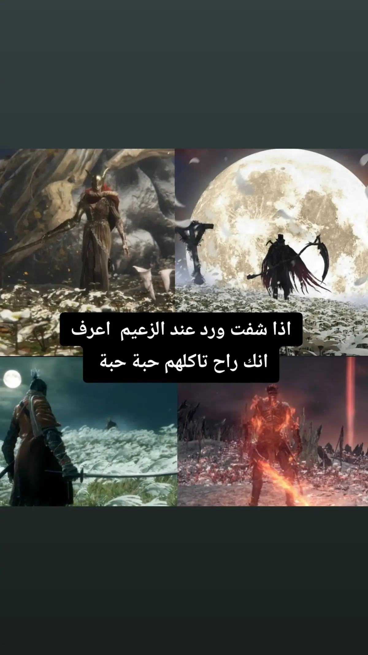 #Meme #eldnering #bloodborne #اخو_ابوك #عاع #سولز_بورن #amygdala #amygdala.sa#maleniabladeofmiquella #german #soulsborne #soul_of_cinder #sekiroshadowsdietwise #مالي_خلق_احط_هاشتاقات🦦 