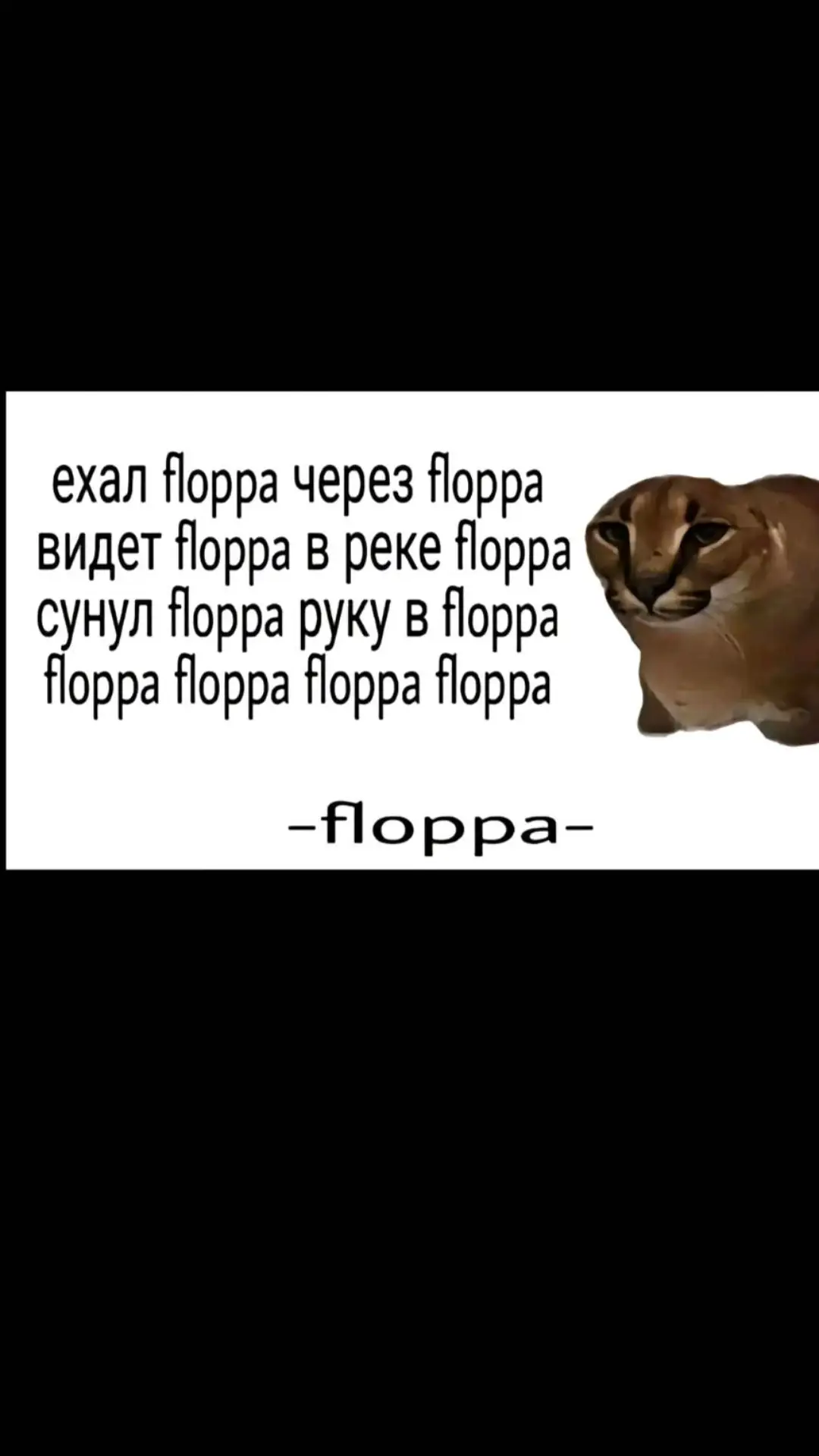 floppa floppa floppa floppa