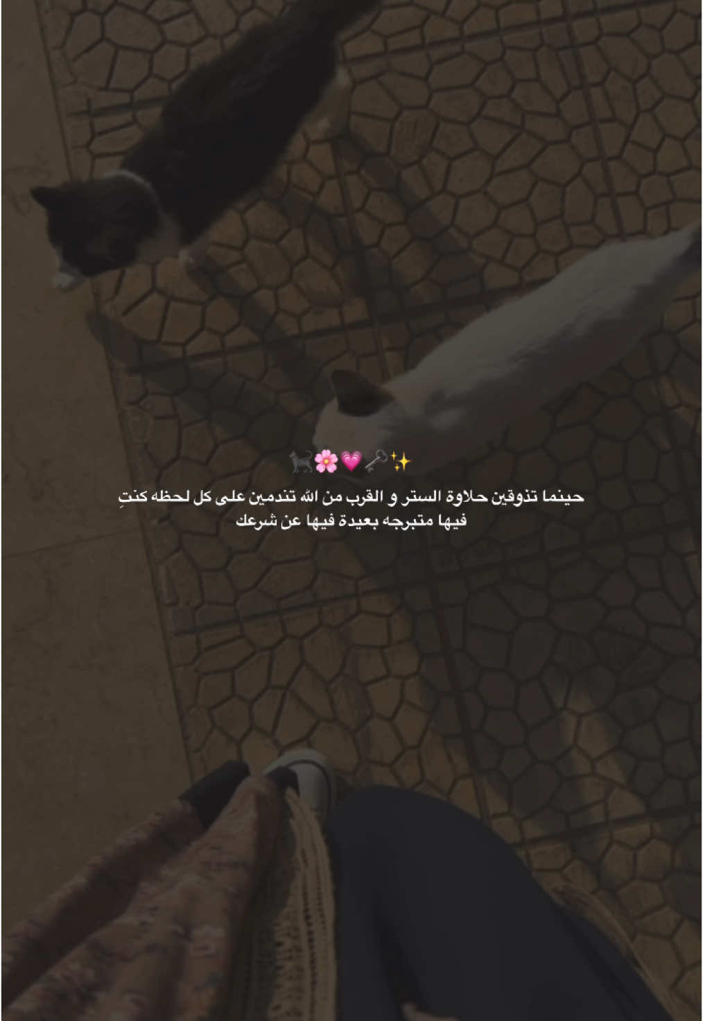 🐈‍⬛💗🌸🗝️✨ #لبنان🇱🇧 #اكسبلورexplore #lebanon #بدون_موسيقي #لباس_شرعي #حجاب #حجاب_شرعي #viral #بدون_هاشتاق 