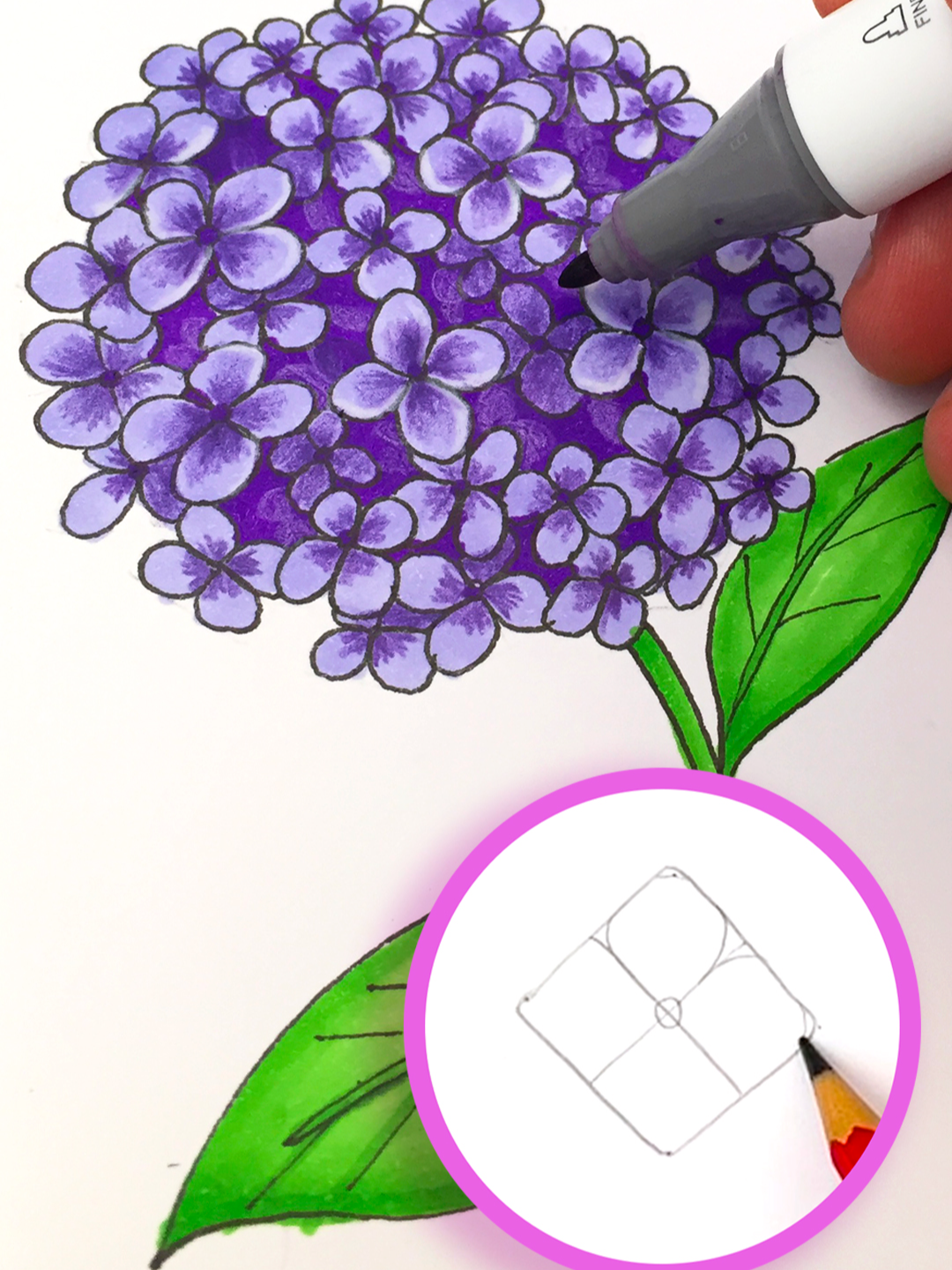 I show you how to draw a hydrangea ✍️🤯 what do you think ? #hydrangea #drawingtutorial #easytechnique #feltpen #foryou