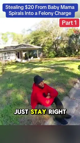 Stealing $20 From Baby Mama Spirals Into a Felony Charge #cops #police #viral #usa 
