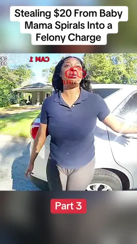 Stealing $20 From Baby Mama Spirals Into a Felony Charge#cops #police 