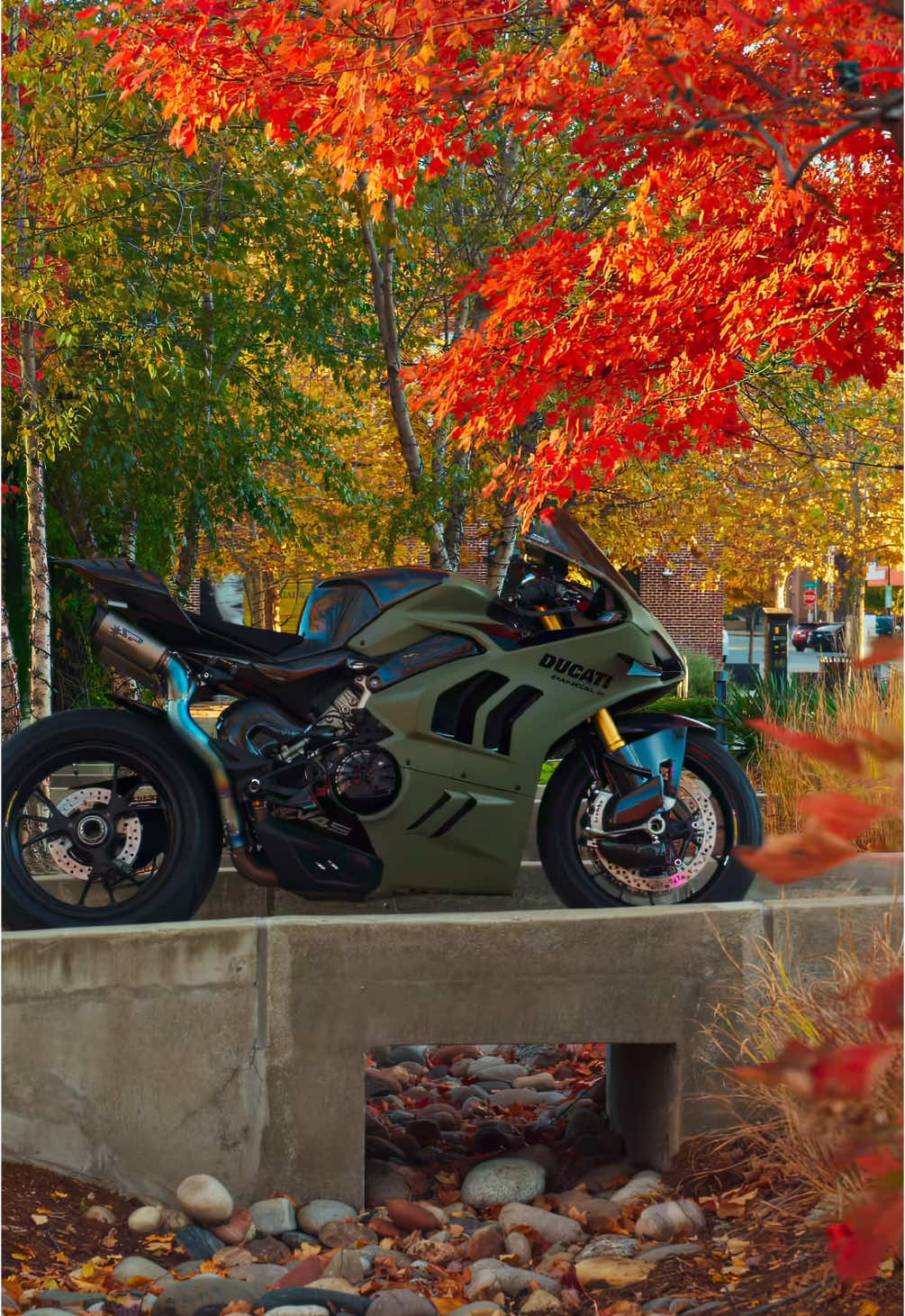 Fall colors and a Panigale V4 🍁 • • • #motorcycle #ducati #2wheels #virał #fypシ゚viral #biker 