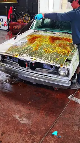 #carwash #carwashing #cardetailing #carcleaning #satisfyingvideo #wash #clean #fyp #asmr 