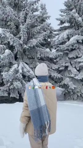 Time to put your trees up 🎄 #christmas #christmasishere #christmasfypp #christmastok #snow #winter #holidayseason #christmas2024 #comingsoon #foryuu #viralllll
