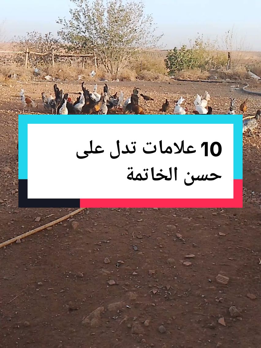 10 علامات تدل على حسن الخاتمة#دعاء_يريح_القلوب #قران_كريم #قصة #المغرب🇲🇦تونس🇹🇳الجزائر🇩🇿 #فرنسا🇨🇵_بلجيكا🇧🇪_المانيا🇩🇪_اسبانيا🇪🇸 #الشعب_الصيني_ماله_حل😂😂 #الجزائر #فرنسا #السعودية #العراق #قصص_واقعية #دويتو 