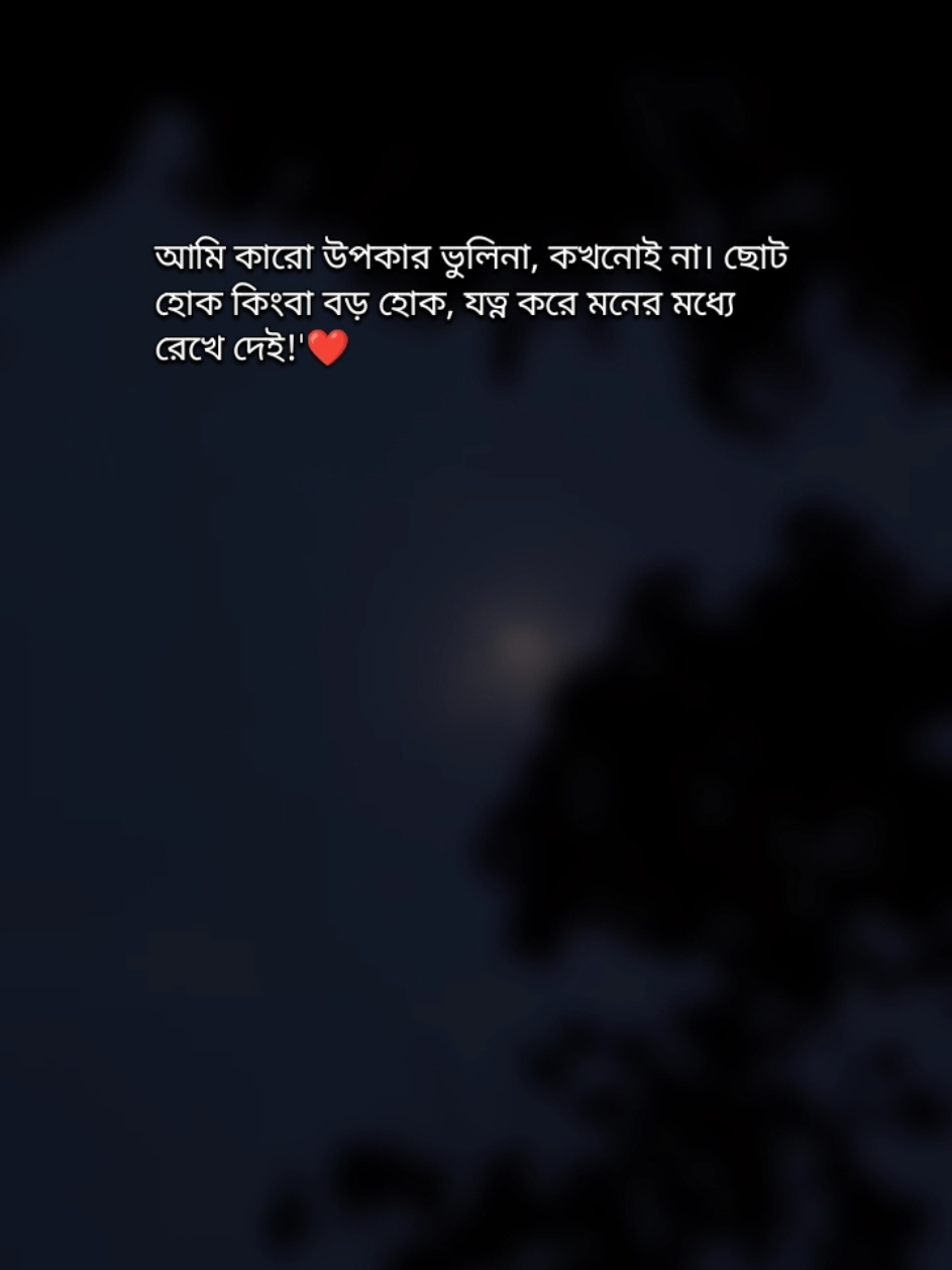 আমি আমার বিপদে যাদেরকে পাশে পেয়েছি তাদের কাছে আমি সবসময়ই কৃতজ্ঞ থাকি 😊 #banglastatus #bangla_status #banglastatusvideo #sadstatus #trending #viralvideo #bdtiktokofficial #foryoupage #fypシ 