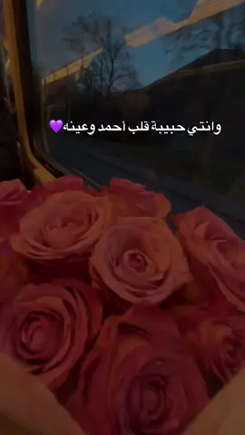 وانتي حبيبة قلب أحمد وعينه💜 #شوق_قلبي❤️ #درعاوية_حورانية📿 #المانيا_السويد_النمسا_النروج_دينيمارك #اكسبلوررررر 