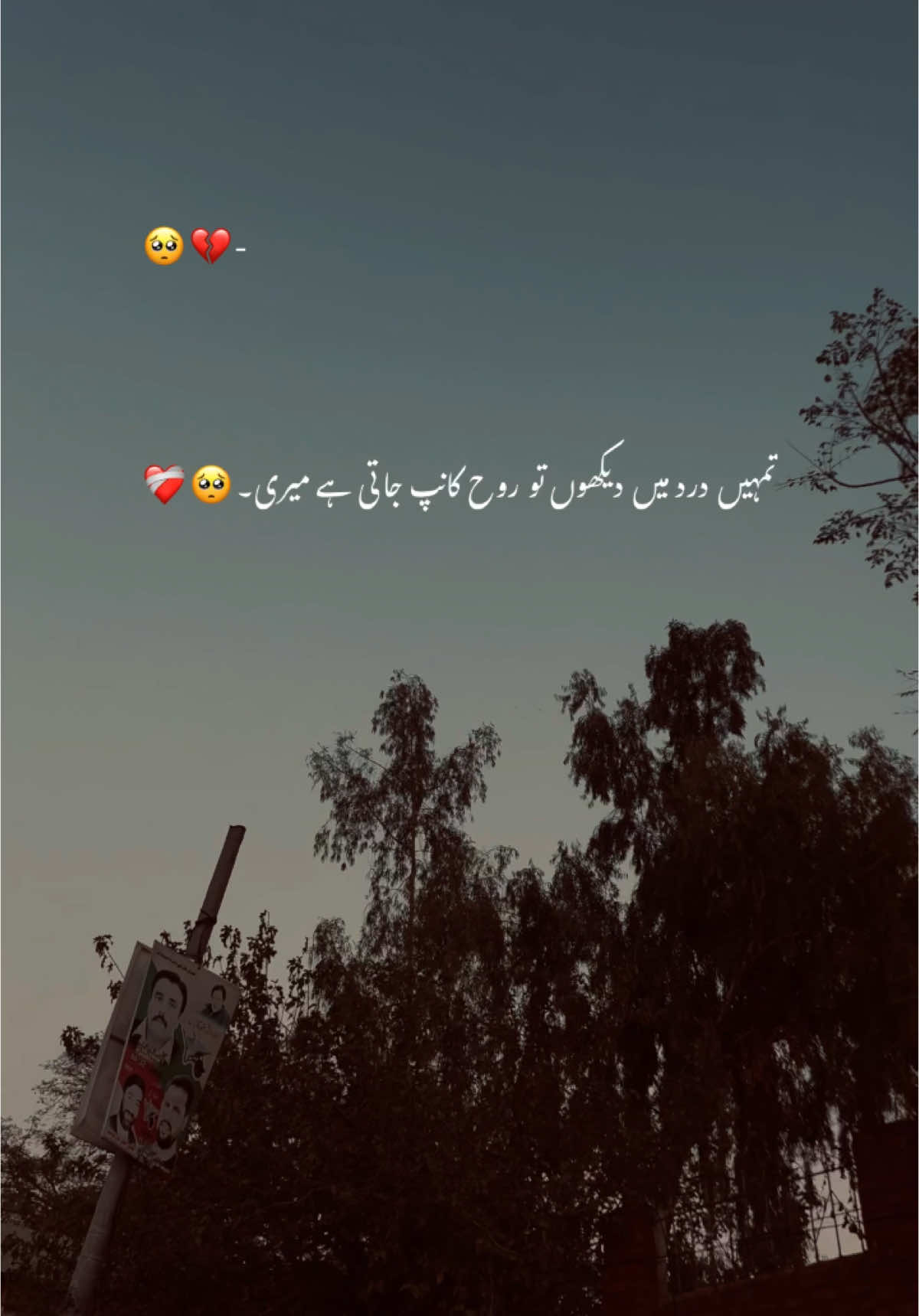 یار تمہیں ایک بار بھی ترس نہیں آتا مجھ پر 🥺❤️‍🩹 #hehe_akhtar #viral #video #grow #account #foryoupage #urdupoetry #aesthetics #treanding #1millionaudition #hehe_asad 