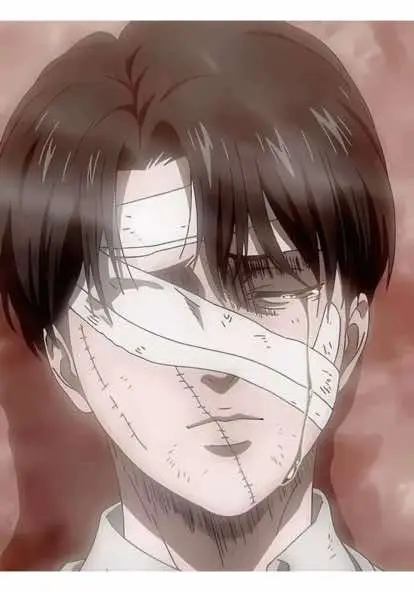 he went through it all.. #aot #shingekinokyojin #AttackOnTitan #leviackerman #fyp 