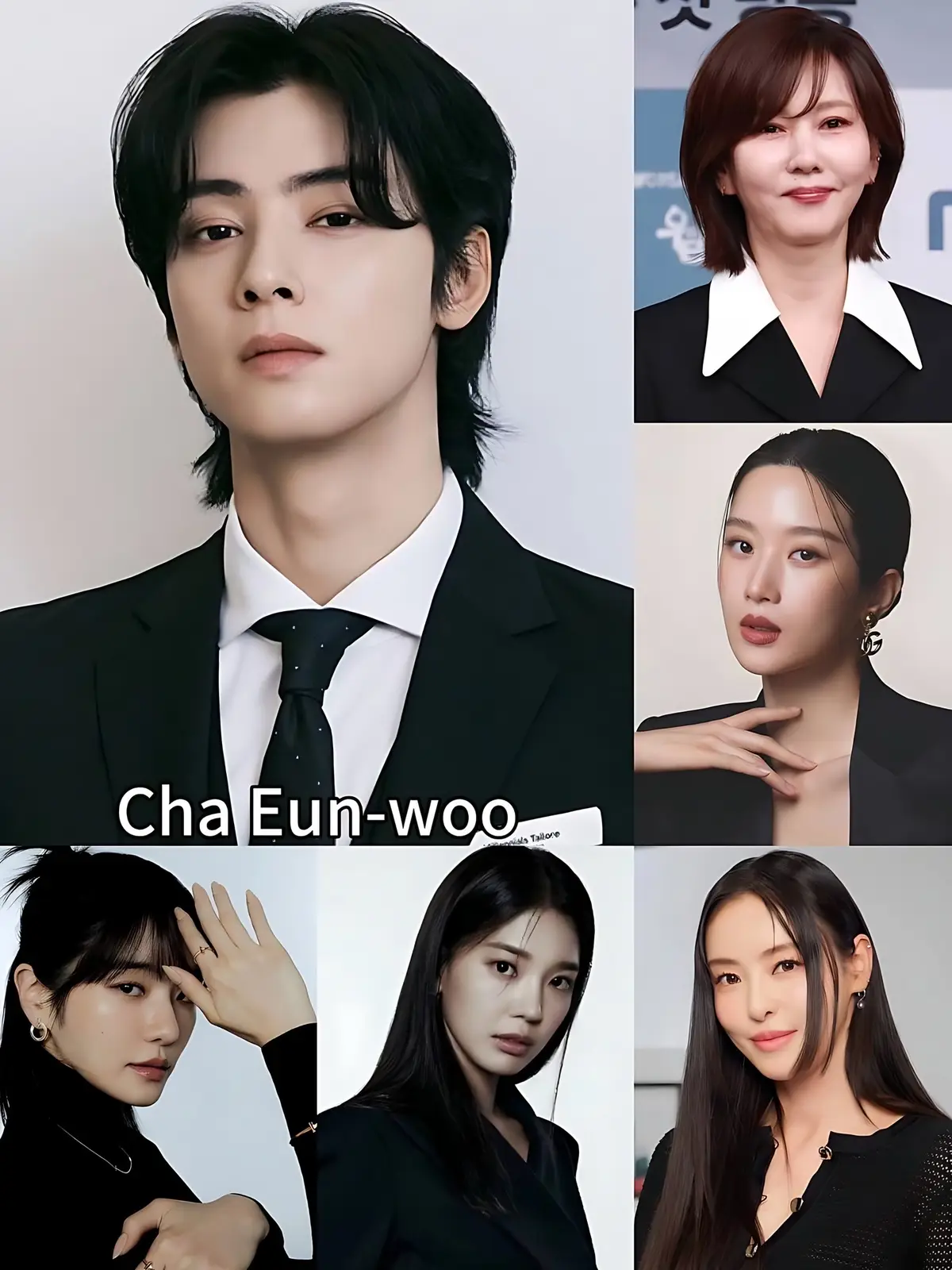 KINGS?and…Name just one Queen.💍👀 #chaeunwoo #hwanginyeop #byeonwooseok #songkang #junghaein #leedohyun #ahnhyoseop #rowoon #leejaewook #moongayoung #jungchaeyeon #kimhyeyoon #jungsomin #songhyekyo #koreanactor #koreanactress #partner #fyp 