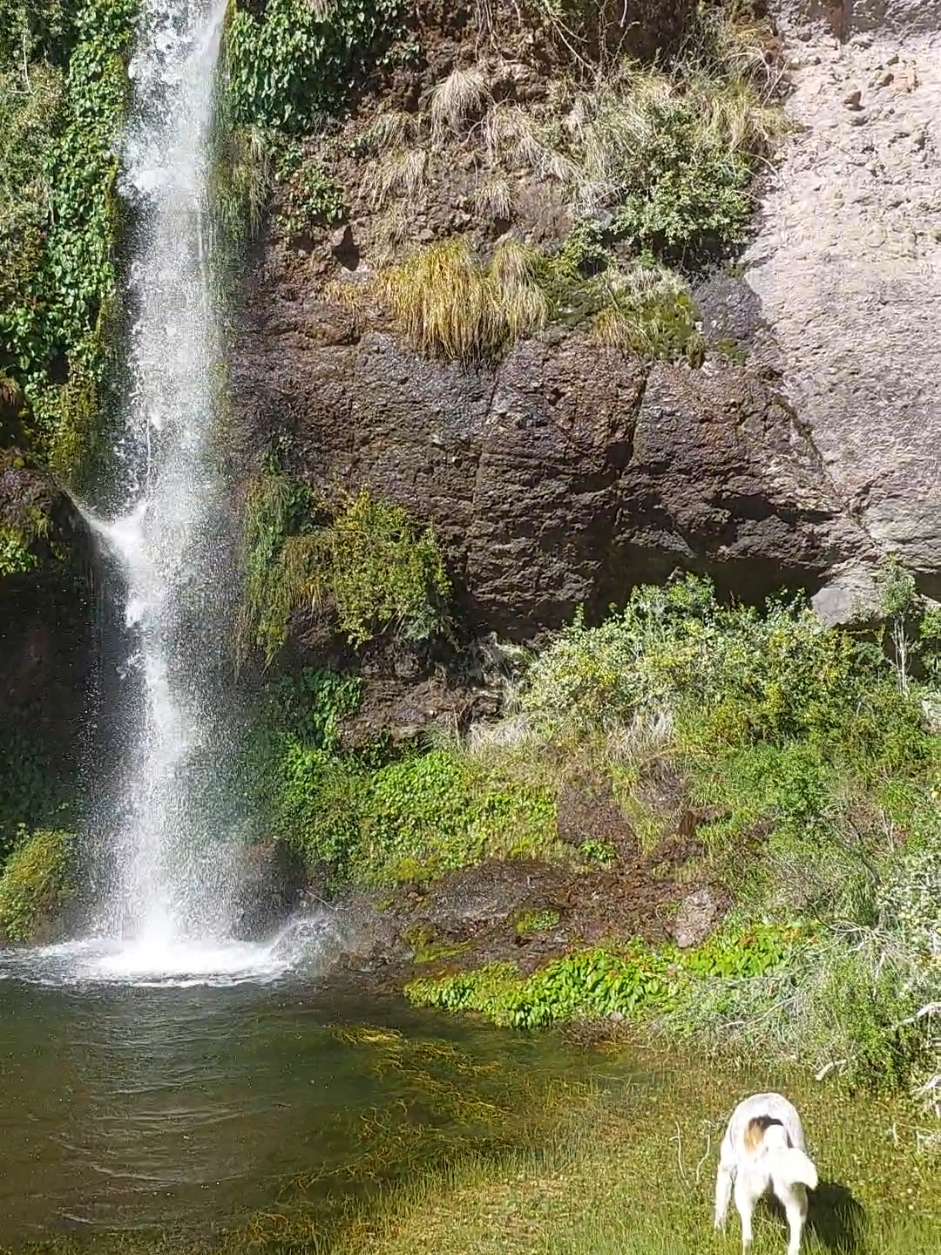 Hoy toco ducha natural.... #parati #viral #lugaresmagicos #honey #contadoradelapatagonia #patagonaventurera #cascadas 