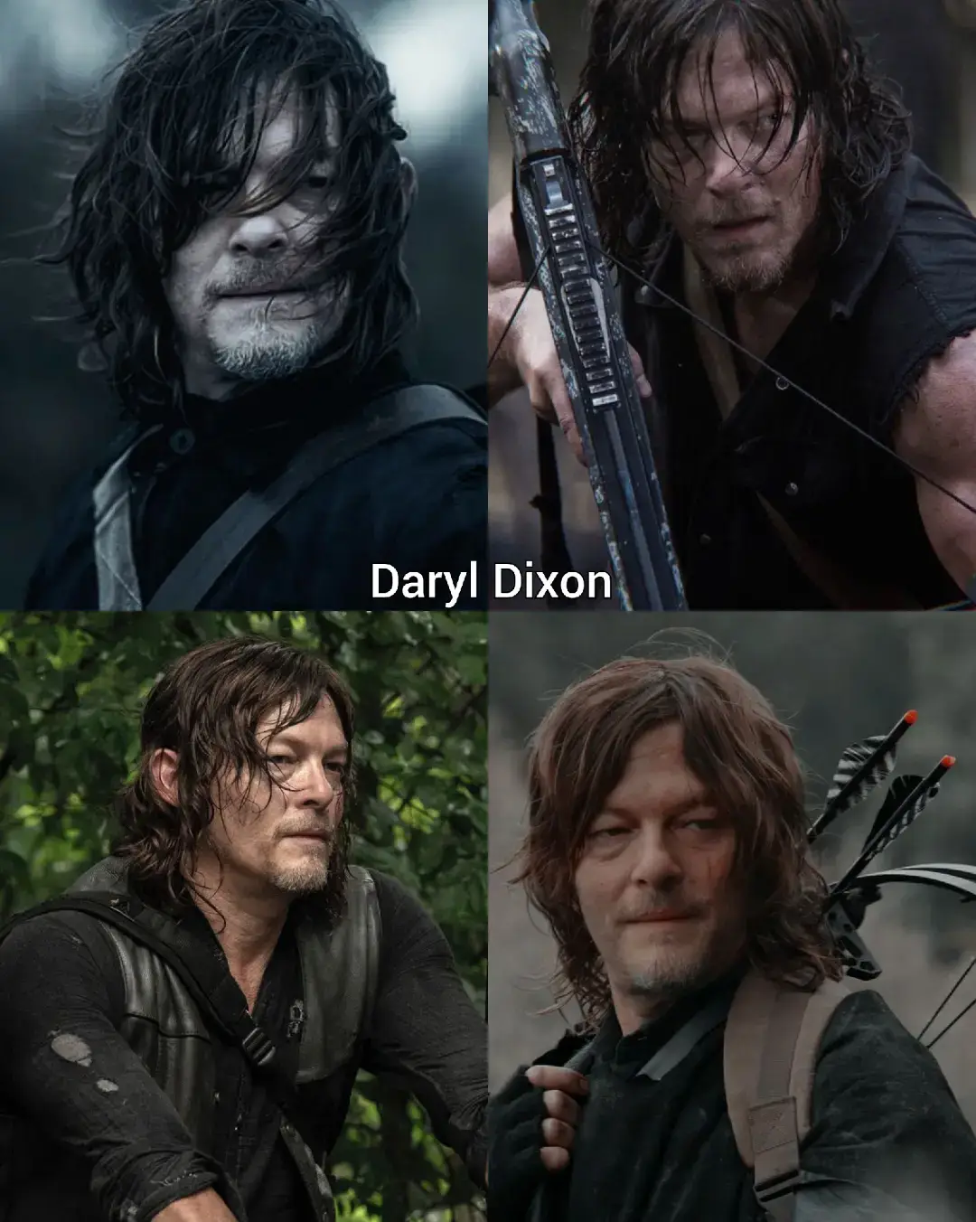 #thewalkingdead #twd #daryldixon  #normanreedus #rickgrimes  #andrewlincoln #carlgrimes  #chandlerriggs #negansmith  #jefrreydeanmorgan #series 