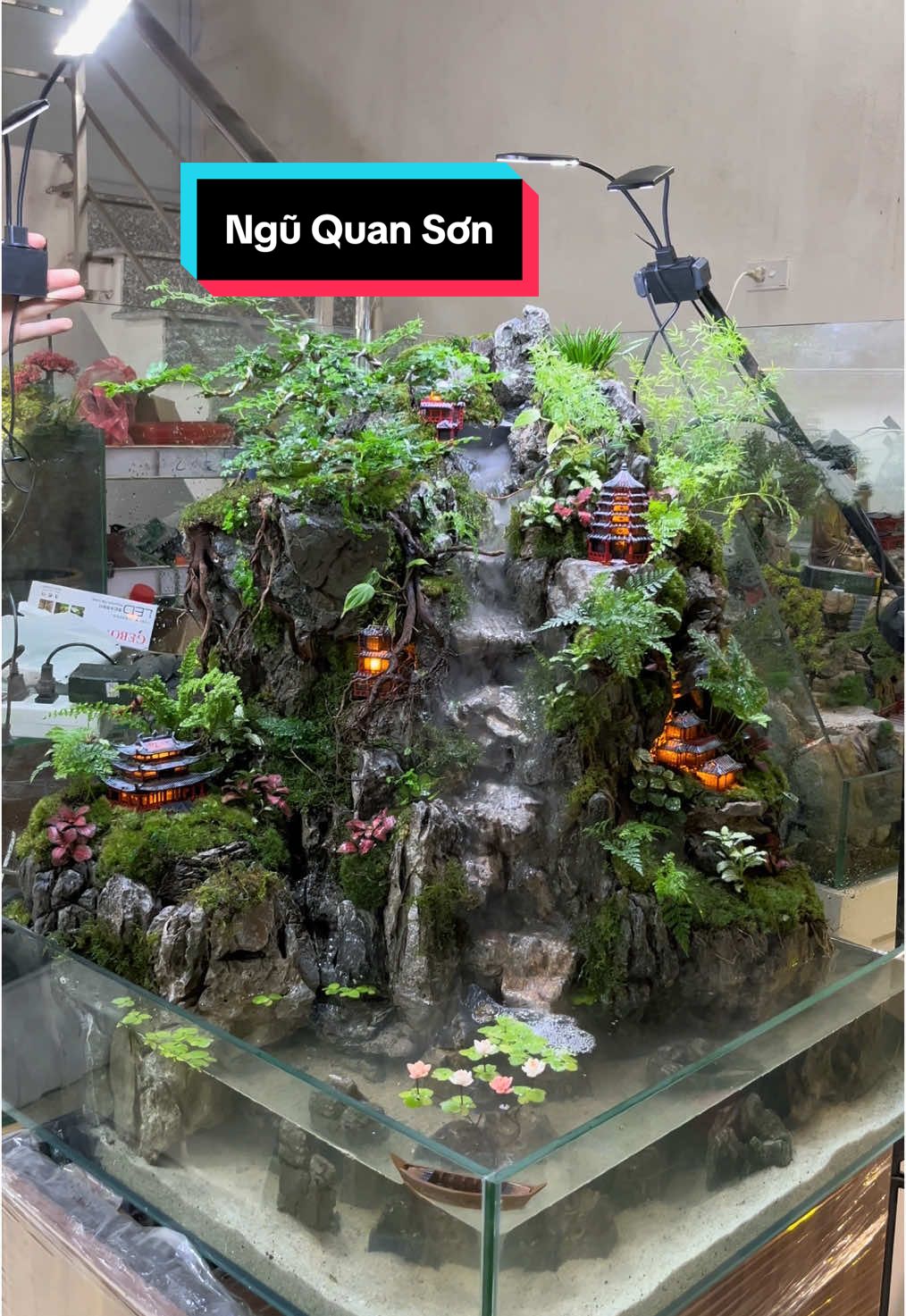 Tiểu cảnh thác nước “Ngũ quan sơn” #ngocaquadesign #tieucanh #paludarium #bancan #tieucanhthacnuoc 