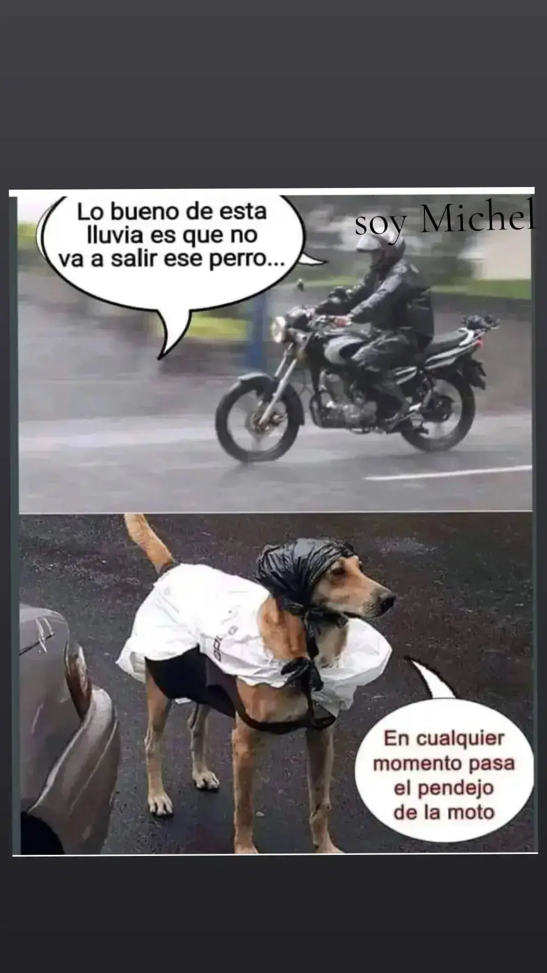 #perros#motos 