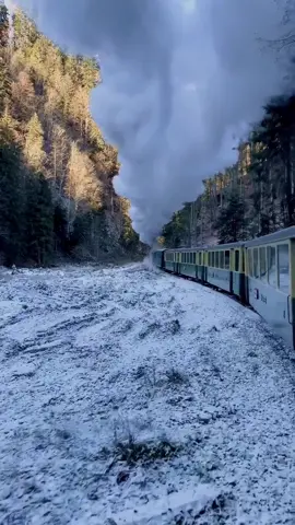 What stirs the soul more deeply than a journey through time? The Mocănița of Maramureș, a narrow-gauge steam train, threads its way through the wilderness of Vaser Valley—a realm suspended between autumn’s last golden sigh and the iron grip of winter. Here, the past lingers like the faint scent of woodsmoke, entwining itself with the crystalline air. The train’s whistle echoes through frost-laced evergreens, a haunting hymn that awakens the spirit of an old-world Romania, where folklore and nature are eternal bedfellows. This locomotive relic, built in 1932, huffs and puffs its way through 21 kilometers of untamed terrain. Originally tasked with transporting timber from the forest, today it carries wanderers hungry for romance and nostalgia. The ancient wheels clatter over tracks hemmed by steep cliffs and river gorges, the landscape untouched by the ceaseless march of modernity. Steam unfurls like a diaphanous veil, mingling with the low-lying mists of the valley, creating an otherworldly tableau that begs for both poetry and reverence. Few places on Earth still breathe with such primordial vigor. As you watch the world pass through rain-streaked windows, it feels as though time itself has slowed. Locals wave from rustic homesteads, their lives bound to the land and its rhythms, while forests whisper stories of unseen creatures and age-old legends. The Mocănița isn’t just a train—it’s a portal to the sublime, a rare chance to revel in the marrow of an unspoiled world. Would you embark on this journey, knowing that its beauty lies in the fleeting and the ephemeral? Video by @carmen_budau  [Steam Train, Narrow-Gauge Railway, Vaser Valley, Historic Locomotive, Scenic Ride, Winter Wonderland, Maramureș Traditions, Romanian Folklore, Autumn Landscapes, Snow-Covered Forests, Rustic Villages, Hidden Romania, Train Enthusiasts, Heritage Railways, Nature Trails, Slow Travel, Bucolic Scenes, Timeless Romania, Wilderness Escapes, Remote Valleys] #romania #travel #maramures #mocanita #steamtrain #slowtravel #hiddeneurope #folklore #scenicjourneys