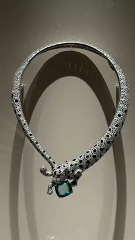 Cartier 🐆  #diamondnecklace #diamond #luxury #thingsideserve #finejewelry #highjewelry 