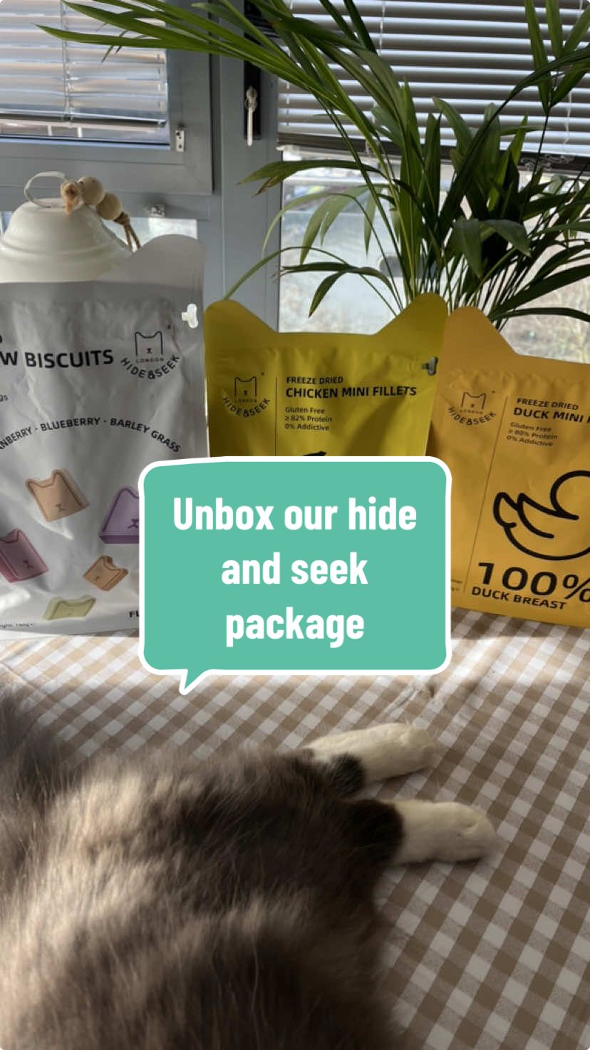 Unbox our hide and seek package with us 💚🌈 #catparentsoftiktok #catsoftiktok #russianblue #longhairedcat #kittensoftiktok #tiktokmademebuyit #cattreats #catnutrition #cattok #hideandseeklondon 