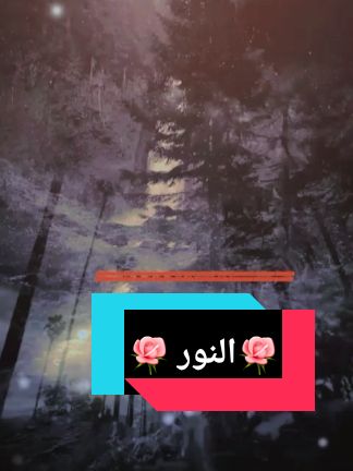 #creatorsearchinsights #🌹🌹🌹🌹🌹🌹🌹🌹🌹🌹🌹 #الشعب_الصيني_ماله_حل😂😂 #@🌹النور🌹 