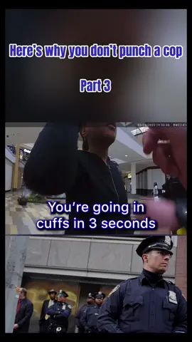Heres why you shouldn't punch a cop #cops #copsoftiktok #police #policeofficer #policeoftiktok #bodycam #crime #trending #fypシ゚viral #fyp #foryoupage
