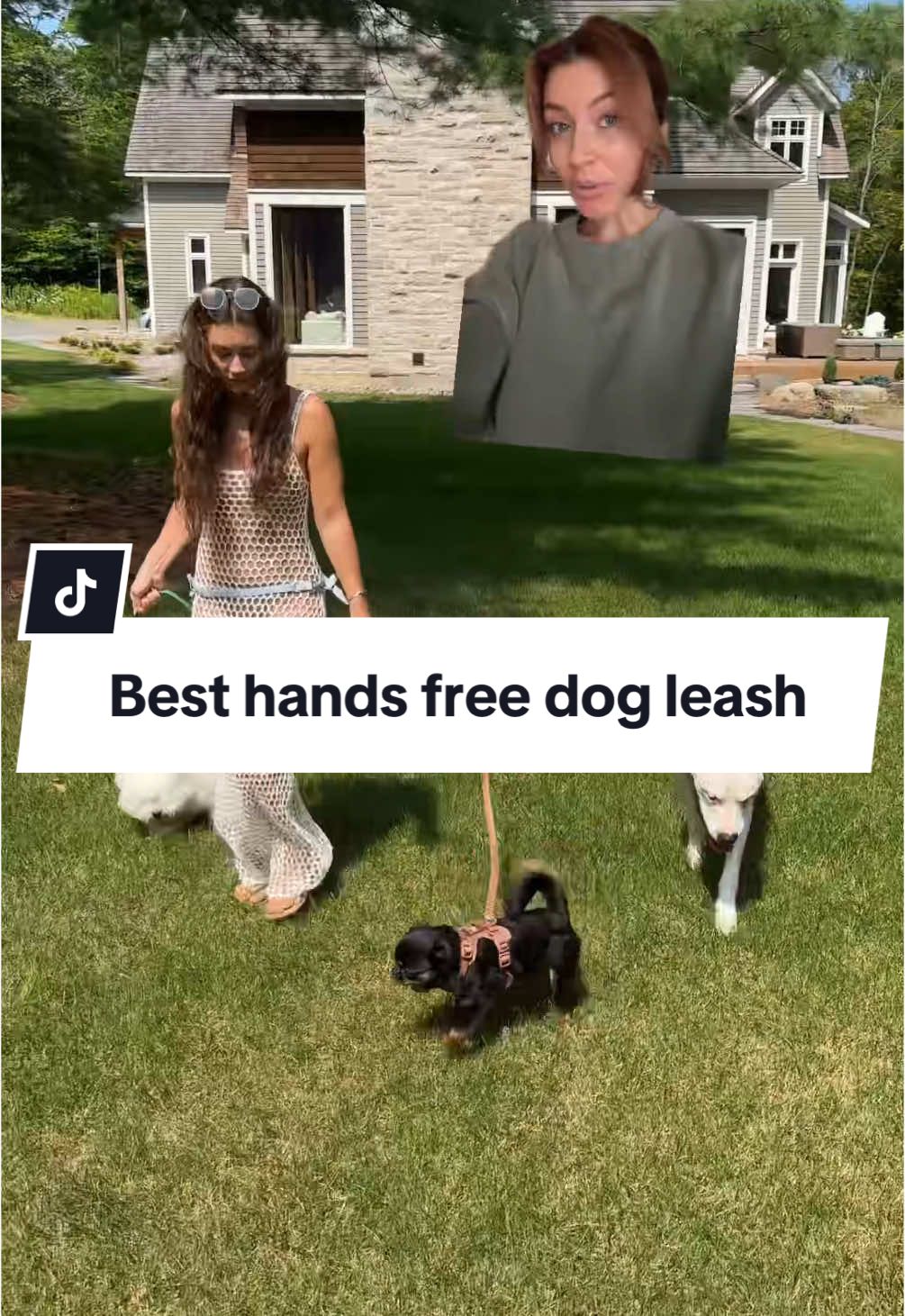 Best hands free dog leash!